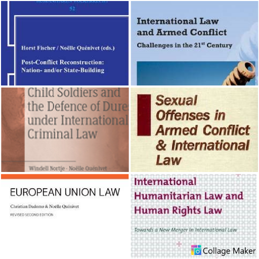 Professor in International Law. Tweets on int'l humanitarian law, int'l criminal law, use of force and human rights law. For EU Law follow @EULawPol57