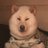 白柴あわのアイコン