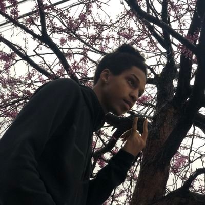 lightskinid's profile picture. 