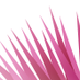 FluffyEdge (@fluffyedge) Twitter profile photo FluffyEdge (@fluffyedge) Twitter profile photo
