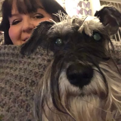 14 yrs 10 mth old Miniature Schnauzer with attitude and a bark to match! I have the longest lashes ever! I live with my Mom who adores me 💜 OTRB 🌈