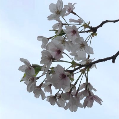 婚活用アカ始めました♂。無言フォロー失礼します。oで活動して彼女ができました！結婚するまでが婚活ということでこのTwitterアカ継続中です。備忘録としてアプリで活動してたときの振り返りツイートしたりします。