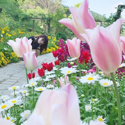 わたなべあかり Akarinnn74 Twitter