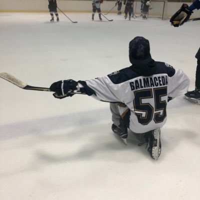 Ice-hockey player Bandy player https://t.co/vRoZuR6Tk9