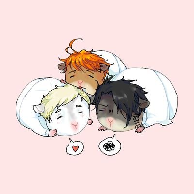 주접계さんのプロフィール画像