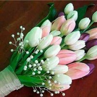 العاشق الصنعاني (@wdkoncvhmr3cbks) 's Twitter Profile