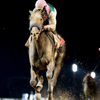 Bob Baffert (@bobbaffert) 's Twitter Profile