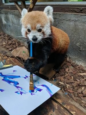 SadPandaFaceさんのプロフィール画像