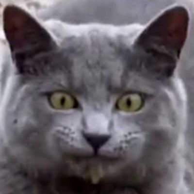 don't look behind you. looking to break into the NetSec world.