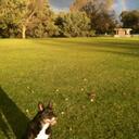 Olivia Newman - @traralgonsmash - Twitter