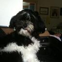 Ron Millard - @theangler2010 - Twitter