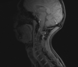 bearblasting's profile picture. touch: cannot touch `this`: Permission denied