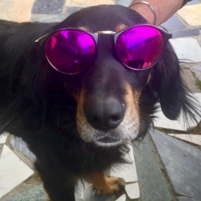 Kiki44381328's profile picture. 