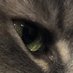 Doug (@dsturner1970) Twitter profile photo Doug (@dsturner1970) Twitter profile photo