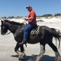 King Moonracer (@bigsethharrell) 's Twitter Profile