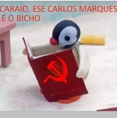 felpsxz's profile picture. um garoto que está em shok dps de ultimato

apenas shitpost bro