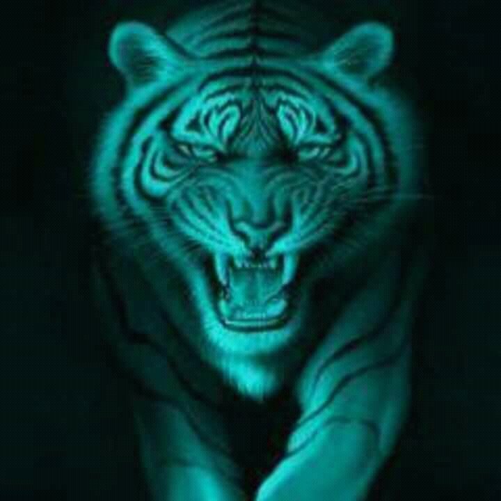 Bothac45Chris's profile picture. Pics