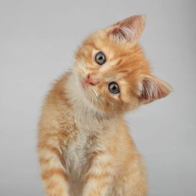 x62x65x6e's profile picture. that security guy