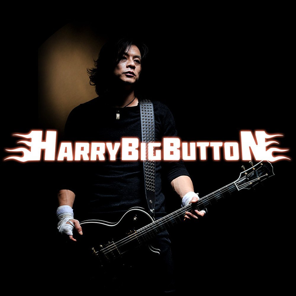 All about HarryBigButton
