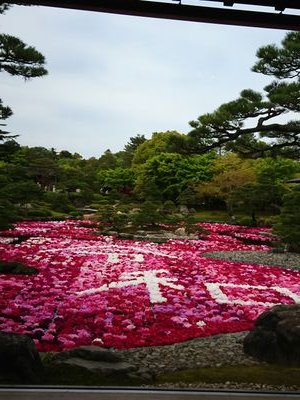 男子バレー観戦大好き☆ 合成④☆ヴォレアス④☆