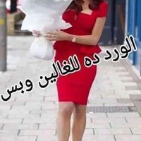 عاصفة مابعد الريح سمير العلاف (@yq7ldp83gocqid8) 's Twitter Profile