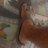 cactus0513's profile image