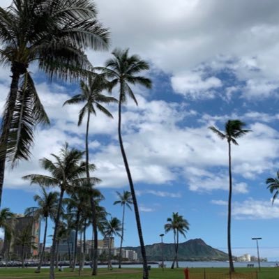 miraclecordi's profile picture. 貴方に ミラクルが起こります٩(๑❛ᴗ❛๑)۶