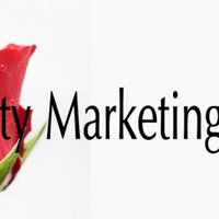 Vanessa Thomas (@luciditymktng) 's Twitter Profile