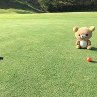 とみぃ (@tommy_m_cal) 's Twitter Profile Photo とみぃ (@tommy_m_cal) 's Twitter Profile Photo