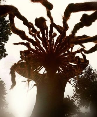 VanhalaJaana's profile picture. 👉Kansalaisaktiivi
🖤Veganismi ja eläinten oikeudet