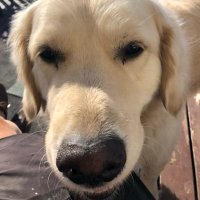 oskar_edsman (@oedsman) 's Twitter Profile