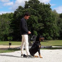 Lebachelier baptiste (@lebachelierbap1) 's Twitter Profile