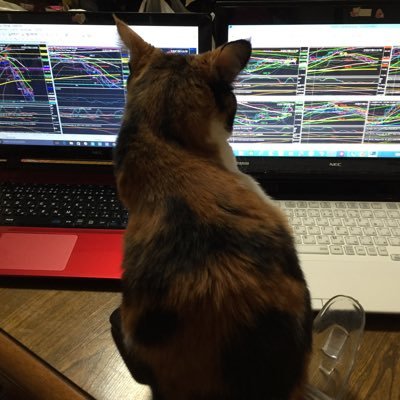 FXとお酒大好きまゆです♪📊は損切り頑張ります😸尖閣諸島は🇯🇵固有の領土🎌北方領土も竹島も 🇯🇵固有の領土🎌 1っ2っ参政党 🇯🇵が 良い方向に向いますように😸 売国奴議員落とそ🇯🇵は🇯🇵人の為の 国土です❣️