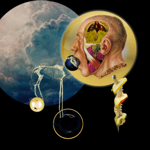 fierce_mild's profile picture. Electro cinematic art rock.
Listen at https://t.co/oT9SiFBkuo