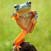 Mark Schexnayder ⚜️⚜️⚜️ (@markschexnayder) 's Twitter Profile Photo