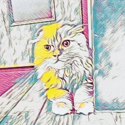 興味あること→仮想通貨🤑とねこ🐈️とコ－デックスと絵画🖼️とマリンスポーツ🏄と武道と…まだあります。
あ、タグ付け🆗です！