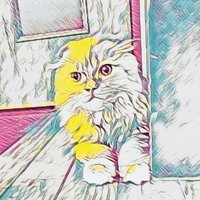 ゆうせい (@dcrash25) 's Twitter Profile
