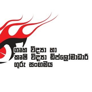 5tA1L2951xOyXlg's profile picture. 