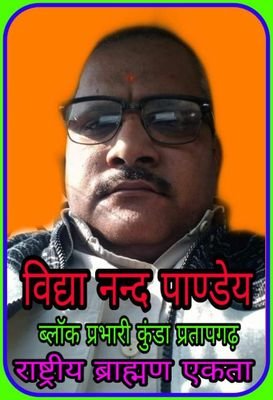 VidyaNandPand12's profile picture. business