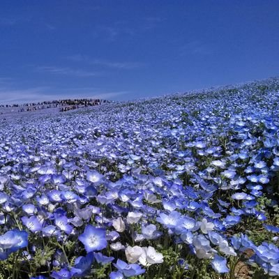 もうなにもない…
この世界に必要とされていない…
来世は…