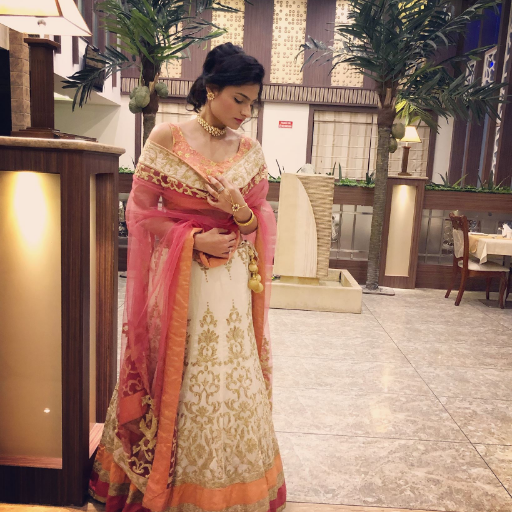 SanchiKohli's profile picture. future advocate,hate dogs,going to be  Stephanians