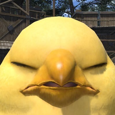 lable21's profile picture. 一応バイク垢。キャンプ釣りカメラスノボが趣味です。と、思わせて犬とタルコフとえーぺっくすの話しかしません