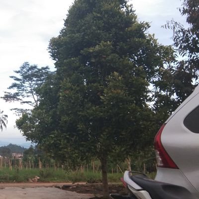 isman_tetesmata's profile picture. Laki-laki | PEKERJA KERAS