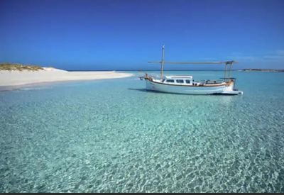 Maite00983264's profile picture. 