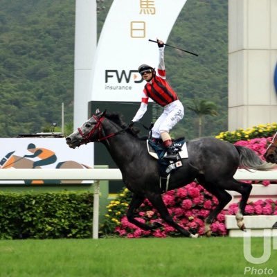 ただの競馬の予想をするだけのアカウント。WIN5の1点的中目指して頑張ってます。毎週の中央重賞、地方競馬のG1競争、購入可能な海外G1の予想をしています。いいねして頂いた方は全員フォローします。※申し訳ありませんがDMの返信は致しません。