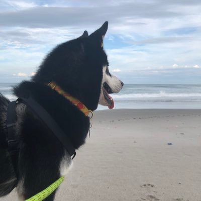 myhommie123's profile picture. 