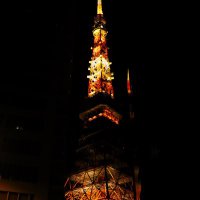 ……xxd (@gxgtl1) 's Twitter Profile