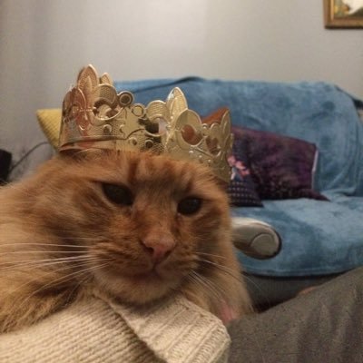 StylinSun_'s profile picture. ntm