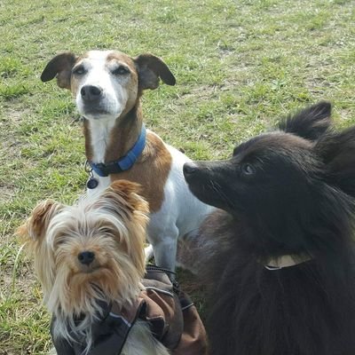 Sonia_Bln's profile picture. 