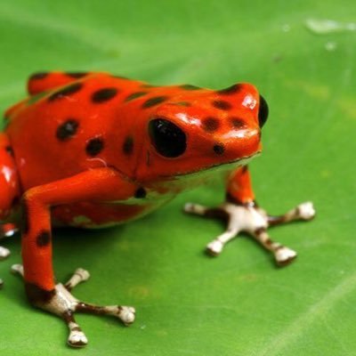 maddstone1's profile picture. 